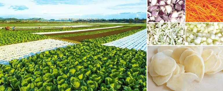 多年專(zhuān)注